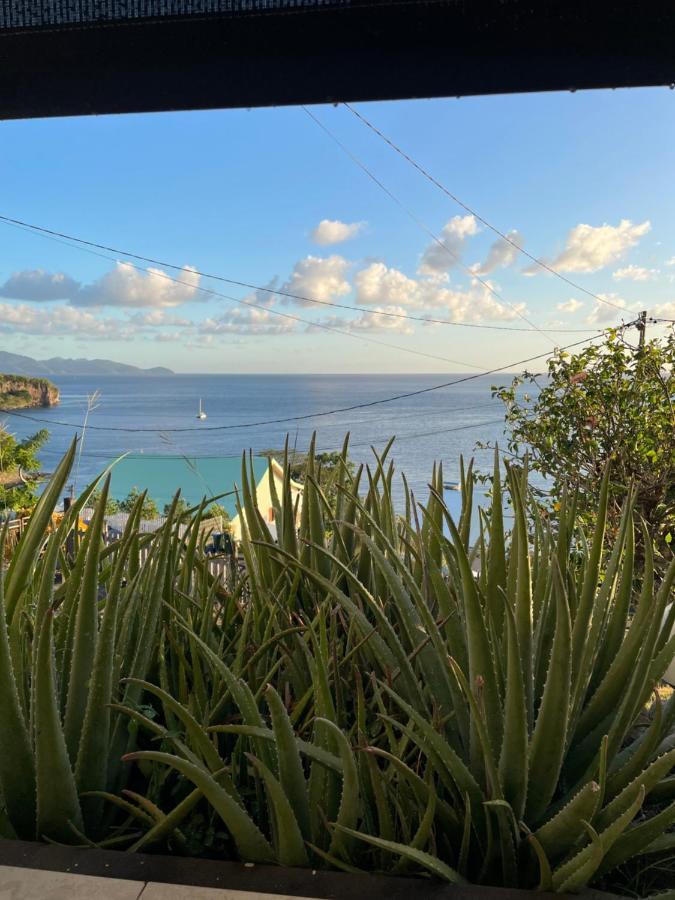 Appartement Vue Mer, Case Pilote Dış mekan fotoğraf